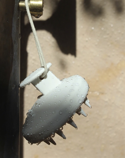 Karmameju - Activate Hovedbundsbørste - White